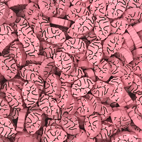 Pink Brain Bits